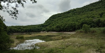 淺山森林學校-半屏湖自然探索