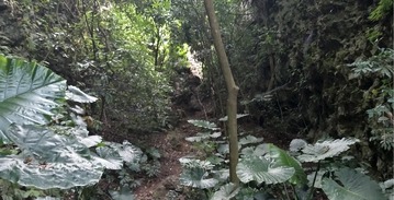 淺山森林學校-北壽山自然探索