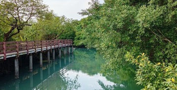 《下午茶場》散策美麗自然五分港溪、基隆河畔、旋轉餐廳下午茶